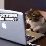 Cat using computer | Volunteer wanted: Website manager | image tagged in cat using computer | made w/ Imgflip meme maker