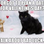friday 13th and valentines day cat | FORGOT TO PLAN A DATE FOR VALENTINE'S DAY? TALK ABOUT BAD LUCK... | image tagged in friday 13th and valentines day cat | made w/ Imgflip meme maker