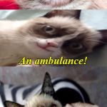Bad Pun Grumpy Cat | What do you call a guy who upsets Chuck Norris? An ambulance! | image tagged in bad pun grumpy cat,chuck norris,memes | made w/ Imgflip meme maker