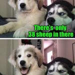 Bad Pun Sheep Dogs | I herded all 40 sheep into the pen; There’s  only 38 sheep in there; Well, I rounded them up | image tagged in bad pun dogs,memes,sheep,bad pun dog,bad pun | made w/ Imgflip meme maker