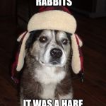 Chasing Rabbits | I WAS CHASING RABBITS; IT WAS A HARE RACING EXPERIENCE | image tagged in hunting dog,bad pun dog,bad pun | made w/ Imgflip meme maker
