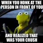 kermit the frog frowned face | WHEN YOU HONK AT THE PERSON IN FRONT OF YOU; AND REALIZED THAT WAS YOUR CRUSH | image tagged in kermit the frog frowned face | made w/ Imgflip meme maker
