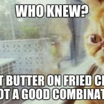 who knew  | WHO KNEW? PEANUT BUTTER ON FRIED CHICKEN IS NOT A GOOD COMBINATION. | image tagged in who knew | made w/ Imgflip meme maker