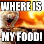 lol | WHERE IS; MY FOOD! | image tagged in lol | made w/ Imgflip meme maker