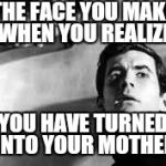 It can happen to anyone | THE FACE YOU MAKE WHEN YOU REALIZE; YOU HAVE TURNED INTO YOUR MOTHER | image tagged in norm,mother,first world problems | made w/ Imgflip meme maker