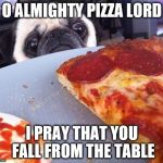 Pizza Pug | O ALMIGHTY PIZZA LORD; I PRAY THAT YOU FALL FROM THE TABLE | image tagged in pizza pug | made w/ Imgflip meme maker