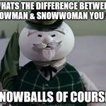 sam the snowman | WHATS THE DIFFERENCE BETWEEN A SNOWMAN & SNOWWOMAN YOU ASK? SNOWBALLS OF COURSE! | image tagged in sam the snowman | made w/ Imgflip meme maker