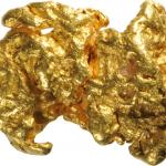 gold nugget meme