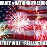 Flag Fireworks | CELEBRATE #NATIONALFREEDOMDAY; WHEN THEY WILL #RELEASETHEMEMO | image tagged in flag fireworks | made w/ Imgflip meme maker