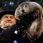 Groundhog