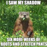 Ground Hog Eating | I SAW MY SHADOW; SIX MORE WEEKS OF BOOTS AND STRETCH PANTS | image tagged in ground hog eating | made w/ Imgflip meme maker