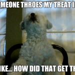 Showflake | WHEN SOMEONE THROES MY TREAT IN THE AIR; I BE LIKE... HOW DID THAT GET THERE? | image tagged in showflake | made w/ Imgflip meme maker