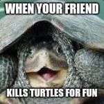 Derpy Turtle | WHEN YOUR FRIEND; KILLS TURTLES FOR FUN | image tagged in derpy turtle | made w/ Imgflip meme maker