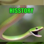 It's a rough green snake! | WHAT IS THE MOST IMPORTANT CLASS IN SNAKE SCHOOL? HISSTORY | image tagged in bad pun snake,memes,puns,snake,snake puns,jokes | made w/ Imgflip meme maker