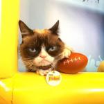 Grumpy Cat Football