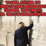 Donald Trump Wall  | “NO GOOD...SEE, LOOK, YOU COULD FIT A SMALL MEXICAN CHILD THRU HERE.  THAT I CAN TELL YOU.  THIS IS NO GOOD, BELIEVE ME.” | image tagged in donald trump wall | made w/ Imgflip meme maker