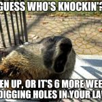 Groundhog guess who | GUESS WHO'S KNOCKIN'? OPEN UP, OR IT'S 6 MORE WEEKS OF DIGGING HOLES IN YOUR LAWN! | image tagged in angry groundhog | made w/ Imgflip meme maker