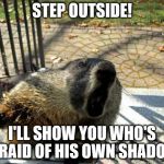 Groundhog not afraid of his shadow | STEP OUTSIDE! I'LL SHOW YOU WHO'S AFRAID OF HIS OWN SHADOW! | image tagged in angry groundhog | made w/ Imgflip meme maker