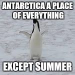 penguin | ANTARCTICA A PLACE OF EVERYTHING; EXCEPT SUMMER | image tagged in penguin | made w/ Imgflip meme maker