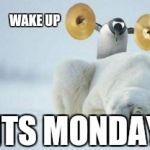 Funny Penguin | WAKE UP; ITS MONDAY | image tagged in funny penguin | made w/ Imgflip meme maker