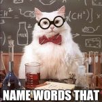 Smart cat | NAME WORDS THAT ENDS WITH "AN" | image tagged in smart cat | made w/ Imgflip meme maker