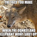 Coyote | THE FACE YOU MAKE; WHEN THE DONKEY AND ELEPHANT WONT SHUT UP! | image tagged in coyote | made w/ Imgflip meme maker