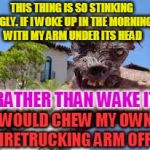 Dingo Ugly | THIS THING IS SO STINKING UGLY. IF I WOKE UP IN THE MORNING WITH MY ARM UNDER ITS HEAD; RATHER THAN WAKE IT. I WOULD CHEW MY OWN FIRETRUCKING ARM OFF. | image tagged in dingo ugly | made w/ Imgflip meme maker