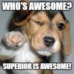 Superior is Awesome | WHO'S AWESOME? SUPERIOR IS AWESOME! | image tagged in who is awesome spiceworks is awesome | made w/ Imgflip meme maker
