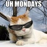 Cool Sunglasses Cat | UH MONDAYS | image tagged in cool sunglasses cat | made w/ Imgflip meme maker