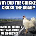 and it's hard to use a shovel with wings | WHY DID THE CHICKEN CROSS THE ROAD? BECAUSE THE CHICKEN SHIT WAS PILING UP ON ONE SIDE | image tagged in why did the chicken cross the road,memes,bad joke,chicken | made w/ Imgflip meme maker