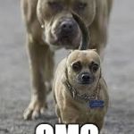 big dog little dog | KEEP WALKING OMG | image tagged in big dog little dog | made w/ Imgflip meme maker