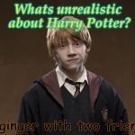 Ron Weasley | Whats unrealistic about Harry Potter? A ginger with two friends | image tagged in ron weasley | made w/ Imgflip meme maker