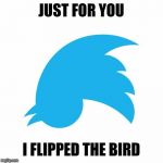 Twitter birds says | JUST FOR YOU; I FLIPPED THE BIRD | image tagged in twitter birds says,memes,funny,insults | made w/ Imgflip meme maker