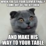 derpy cat | WHEN YOU SEE YOUR SERVER FINALLY COME OUT OF THE KITCHEN; AND MAKE HIS WAY TO YOUR TABLE | image tagged in derpy cat | made w/ Imgflip meme maker