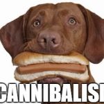Dog eating hot dog | CANNIBALISM | image tagged in dog eating hot dog | made w/ Imgflip meme maker