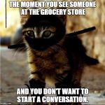 Ninja Cat | THE MOMENT YOU SEE SOMEONE AT THE GROCERY STORE; AND YOU DON'T WANT TO START A CONVERSATION. | image tagged in ninja cat | made w/ Imgflip meme maker