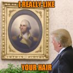 one dollar | I REALLY LIKE; YOUR HAIR | image tagged in are you on my team | made w/ Imgflip meme maker