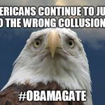 FISA abuse | AMERICANS CONTINUE TO JUMP TO THE WRONG COLLUSIONS! #OBAMAGATE | image tagged in scared eagle,fusion gps,collusion | made w/ Imgflip meme maker