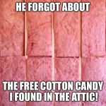 Insulation | HE FORGOT ABOUT; THE FREE COTTON CANDY I FOUND IN THE ATTIC! | image tagged in insulation | made w/ Imgflip meme maker