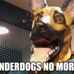 Philadelphia Eagles Underdog Dog Mask | UNDERDOGS NO MORE! | image tagged in philadelphia eagles underdog dog mask | made w/ Imgflip meme maker