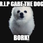 Rest in peace, Gabe. | R.I.P GABE THE DOG; BORK! | image tagged in gabe the dog | made w/ Imgflip meme maker