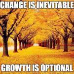 Autumn trees | CHANGE IS INEVITABLE; GROWTH IS OPTIONAL | image tagged in autumn trees | made w/ Imgflip meme maker