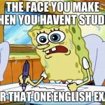 What I learned in boating school is | THE FACE YOU MAKE WHEN YOU HAVENT STUDIED; FOR THAT ONE ENGLISH EXAM | image tagged in what i learned in boating school is | made w/ Imgflip meme maker