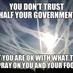 chemtrail | YOU DON'T TRUST HALF YOUR GOVERNMENT; BUT YOU ARE OK WITH WHAT THEY SPRAY ON YOU AND YOUR FOOD. | image tagged in chemtrail | made w/ Imgflip meme maker