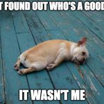 Doggone it. | I JUST FOUND OUT WHO'S A GOOD DOG IT WASN'T ME | image tagged in tired dog,good dog,doggone it | made w/ Imgflip meme maker