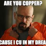 Walter white Approves | ARE YOU COPPER? BECAUSE I CU IN MY DREAMS | image tagged in walter white approves | made w/ Imgflip meme maker
