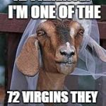 Muslim Goat Bride | APPARENTLY I'M ONE OF THE; 72 VIRGINS THEY PROMISED YOU | image tagged in muslim goat bride | made w/ Imgflip meme maker