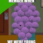 member berries  | MEMBER WHEN; WE WERE YOUNG | image tagged in member berries | made w/ Imgflip meme maker