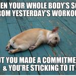 Tired workout puppy  | WHEN YOUR WHOLE BODY'S SORE FROM YESTERDAY'S WORKOUT; BUT YOU MADE A COMMITMENT & YOU'RE STICKING TO IT | image tagged in workout,gym,fitness,exercise,motivation,tired puppy | made w/ Imgflip meme maker