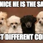 one different | BE NICE HE IS THE SAME; JUST DIFFERENT COLOR | image tagged in one different | made w/ Imgflip meme maker